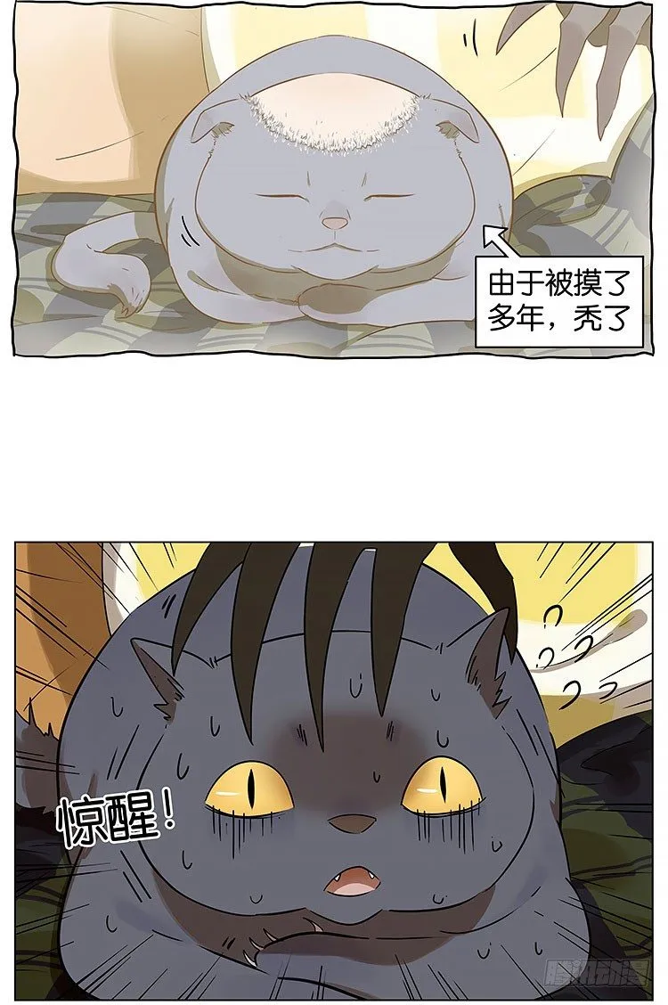 撸猫 第3页