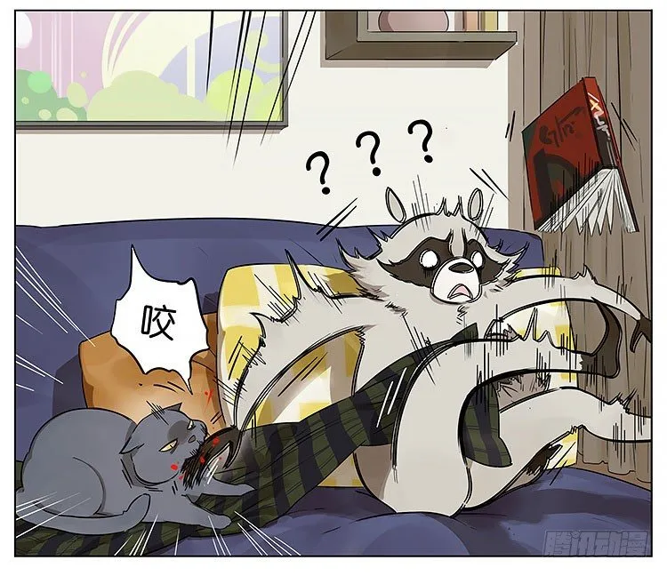 撸猫 第4页
