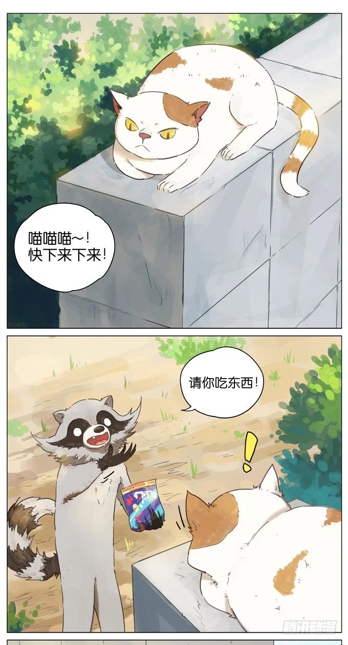 猫狗 第1页