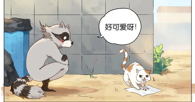 猫狗 第2页