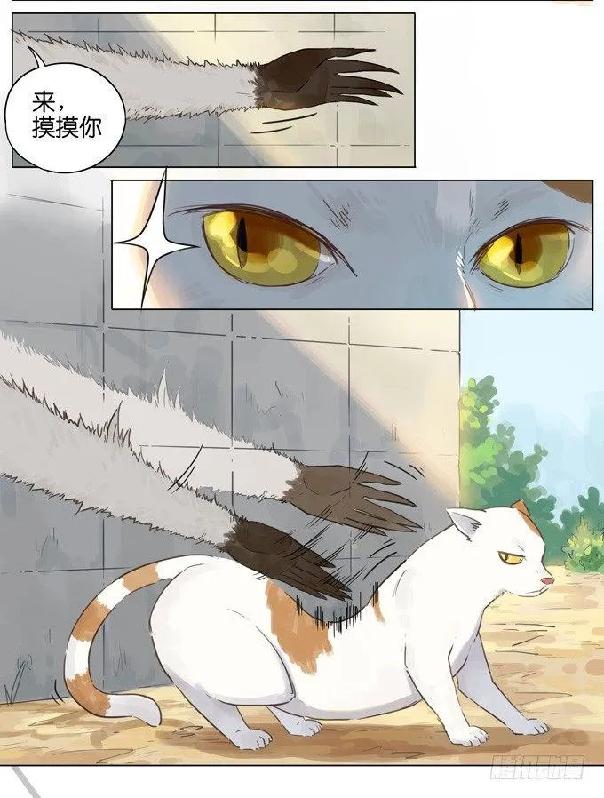 猫狗 第3页