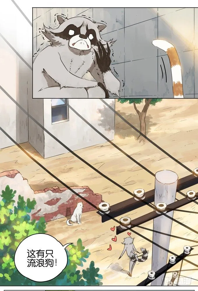 猫狗 第4页