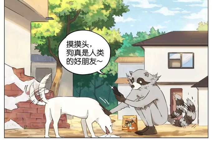 猫狗 第6页