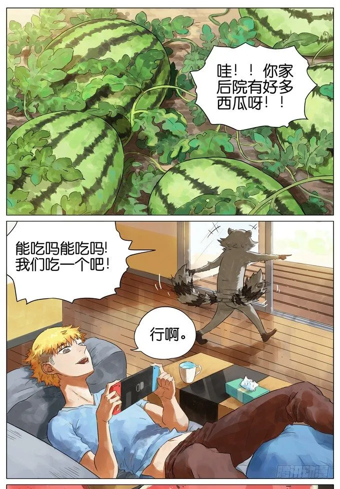 西瓜 第1页