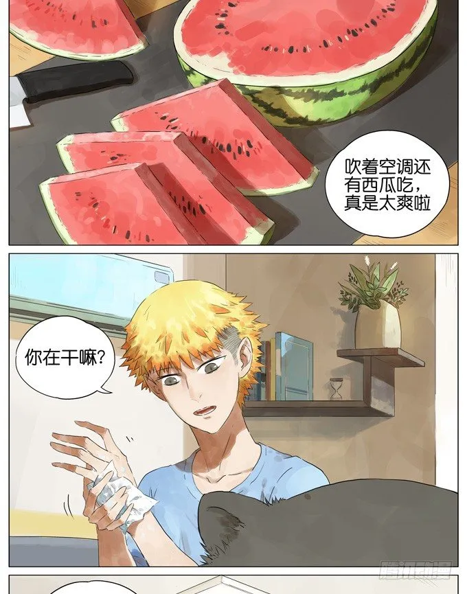 西瓜 第2页