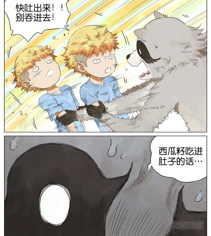 西瓜 第9页
