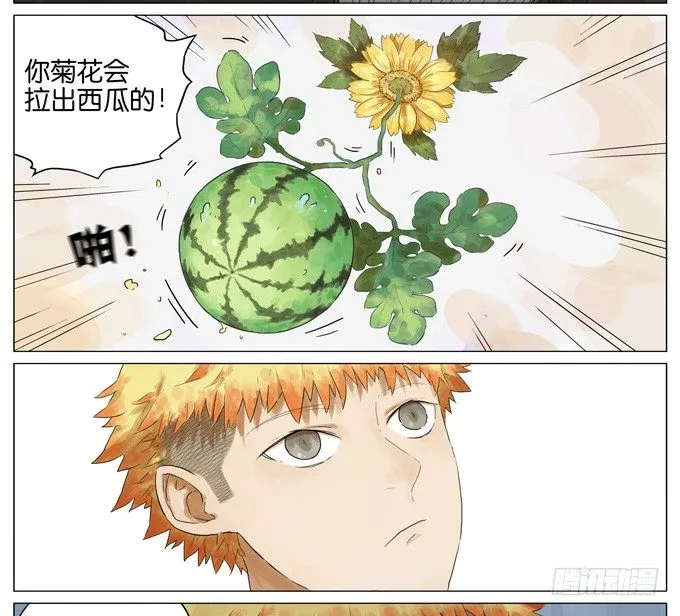 西瓜 第10页