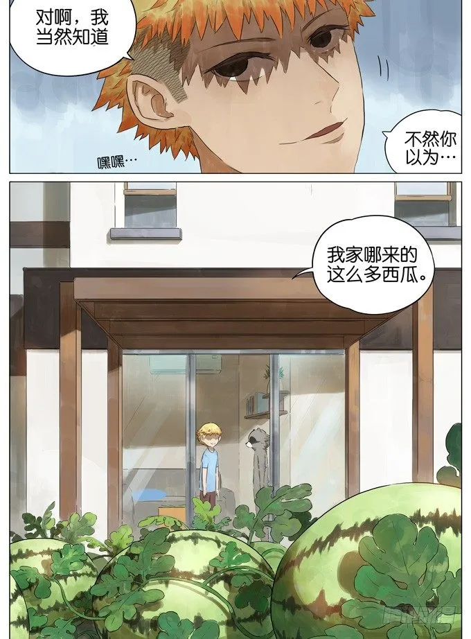 西瓜 第11页