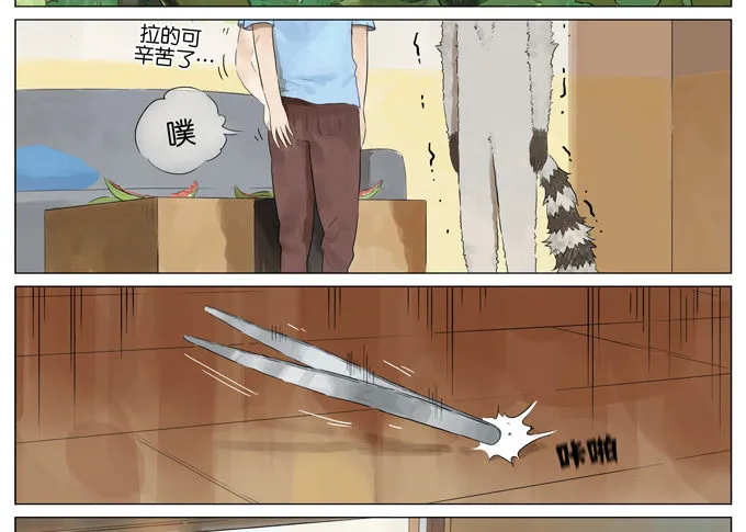 西瓜 第12页