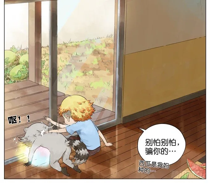 西瓜 第13页