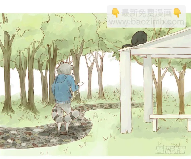 喂猫 第8页
