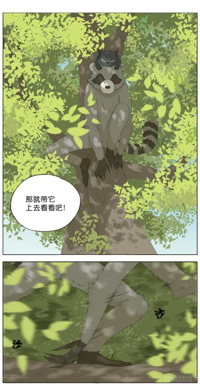 会飞的猫 第6页