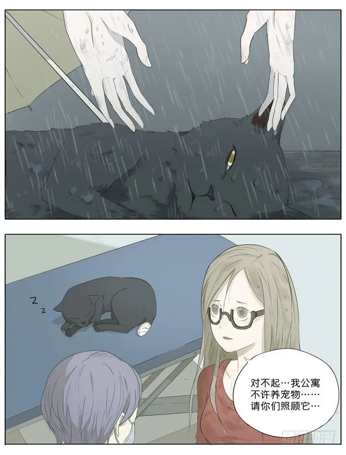 会飞的猫 第10页