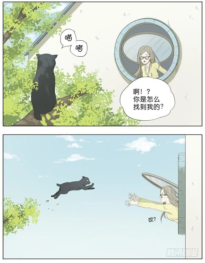 会飞的猫 第11页