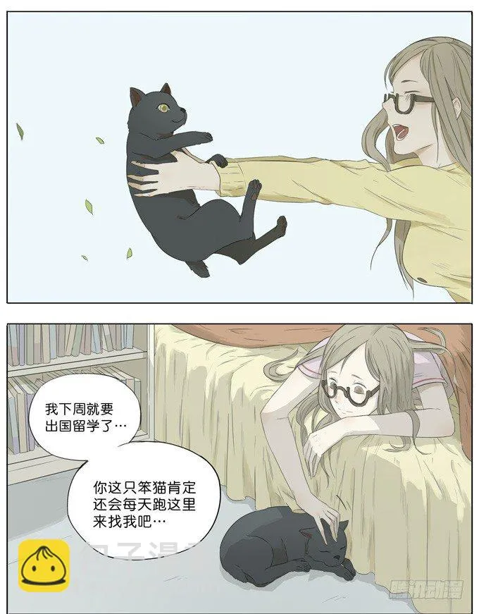 会飞的猫 第12页