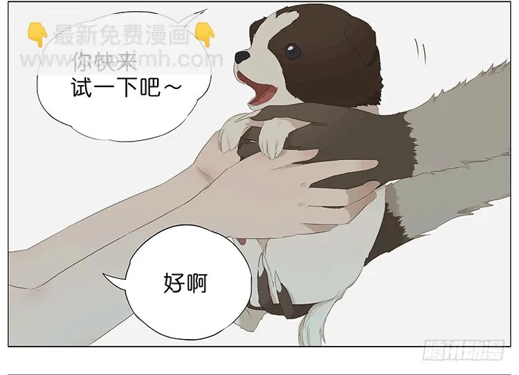 树洞里 第13页