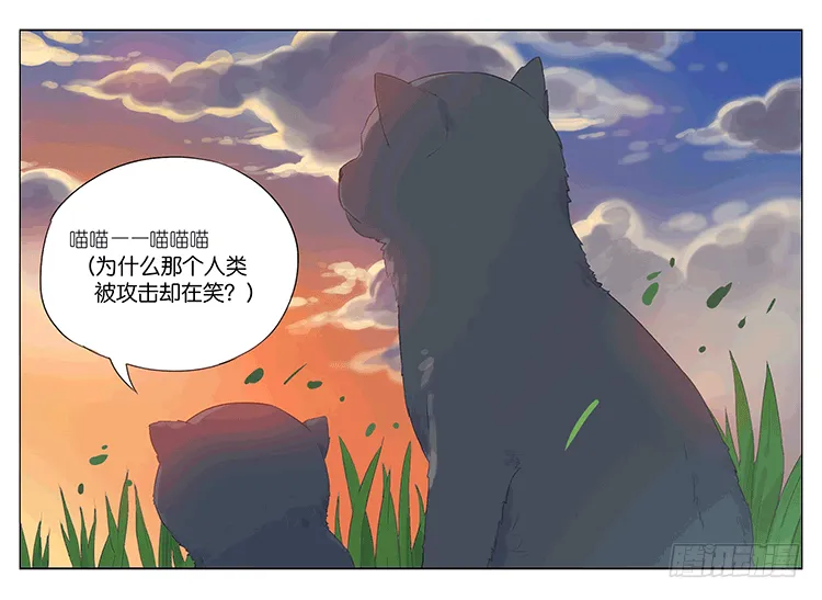 大饼 第5页