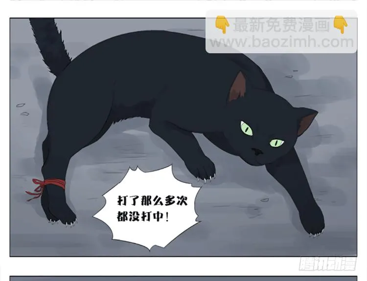 九条命 第8页