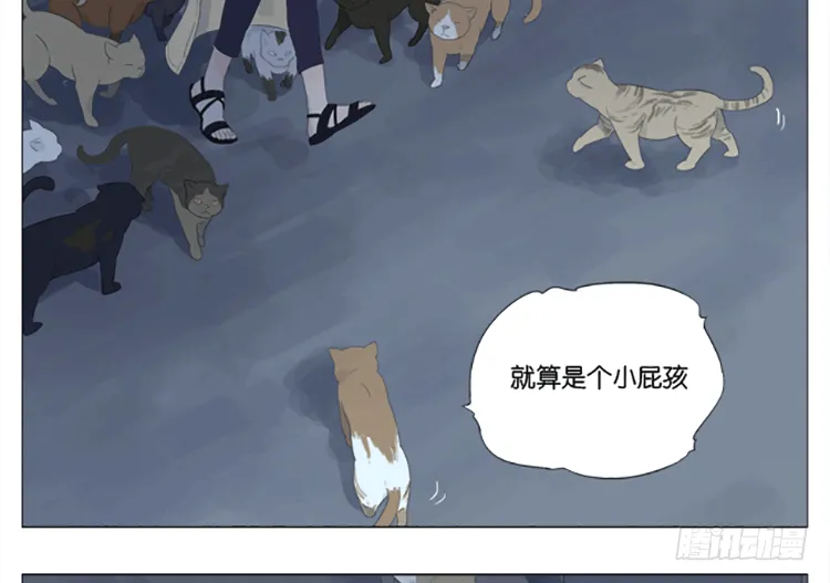 九条命 第13页