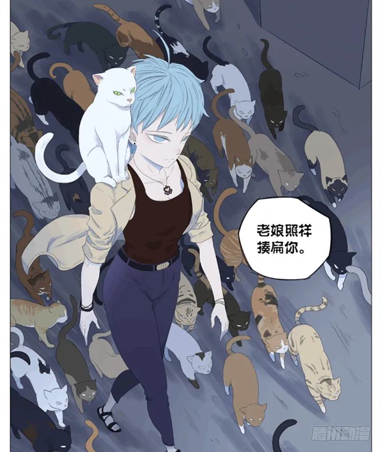 九条命 第14页