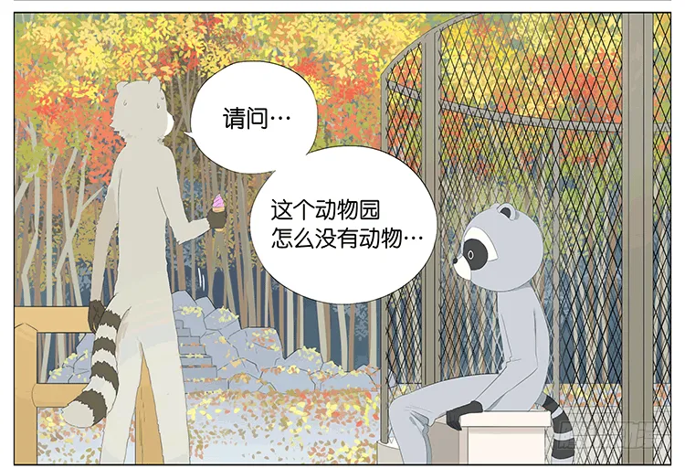 浣熊伯伯 第3页
