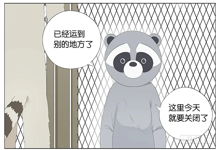 浣熊伯伯 第4页