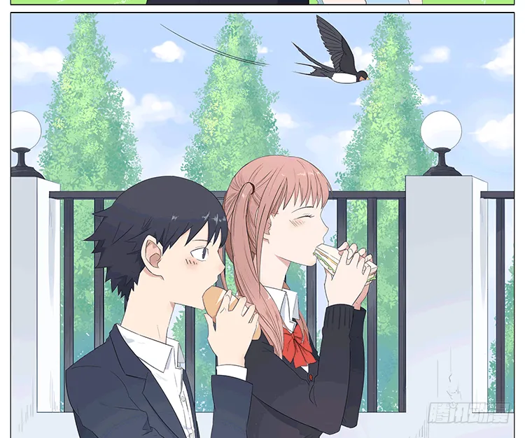 特别篇 第14页