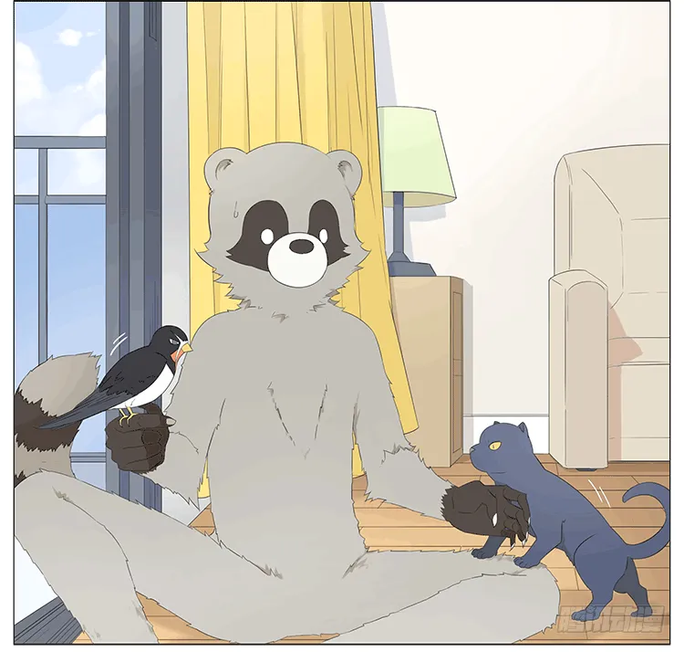 特别篇 第17页