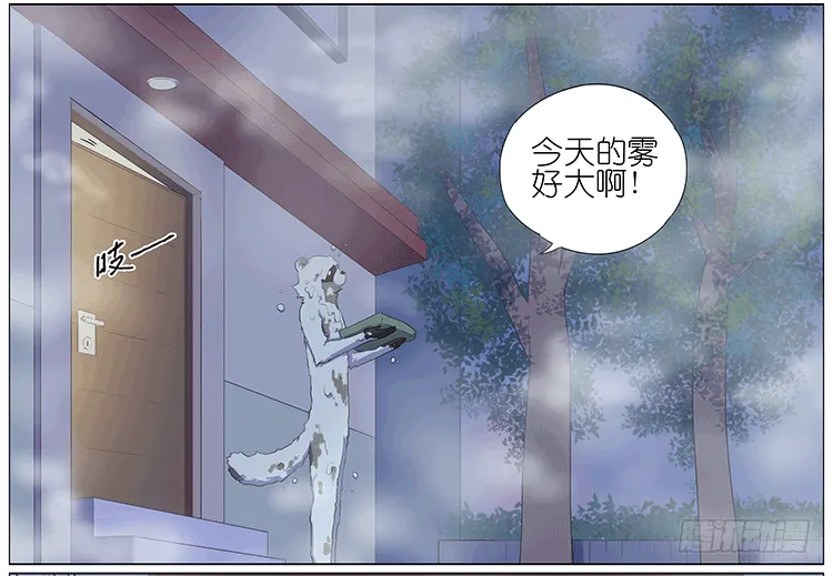 大雾 第3页
