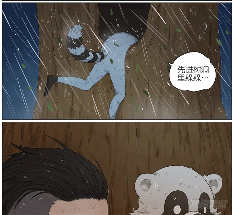 暴雨中的树洞 第2页
