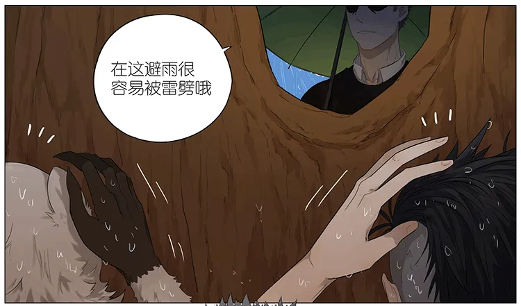 暴雨中的树洞 第6页