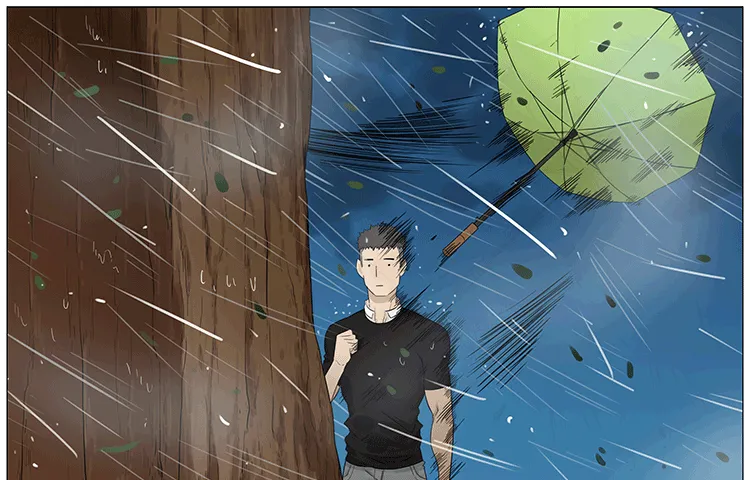 暴雨中的树洞 第10页