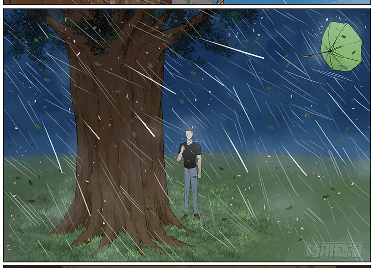 暴雨中的树洞 第11页