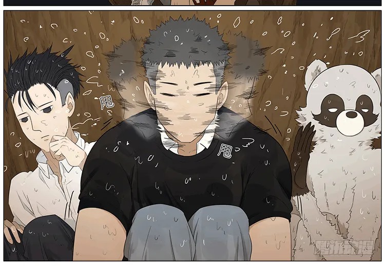 暴雨中的树洞 第13页