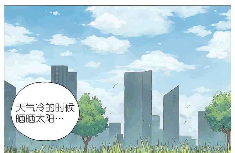 猫 第1页
