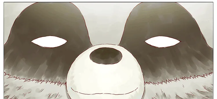 猫 第3页