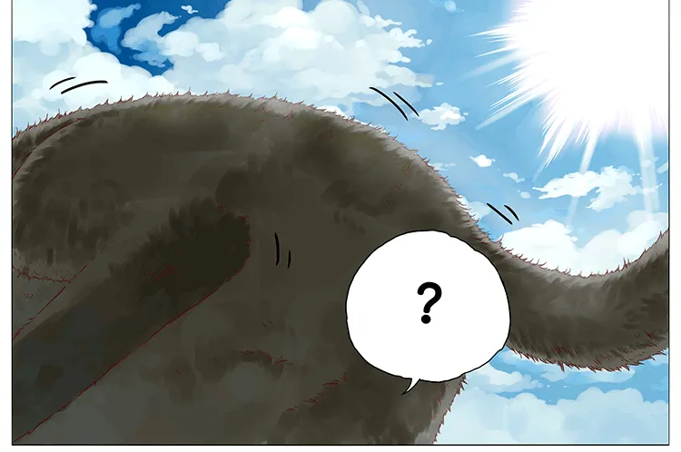 猫 第5页