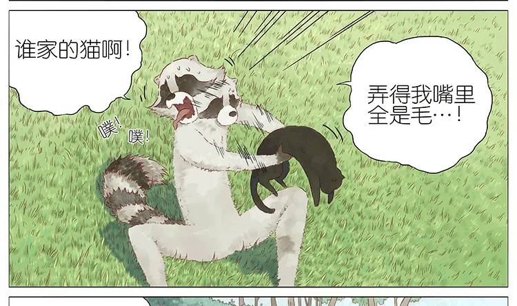 猫 第7页