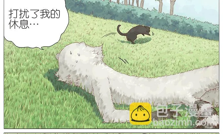 猫 第8页