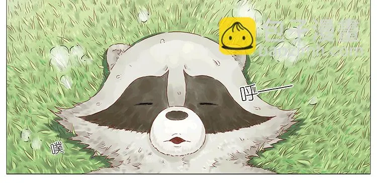 猫 第9页