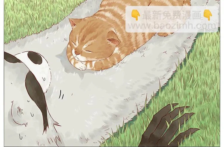 猫 第11页