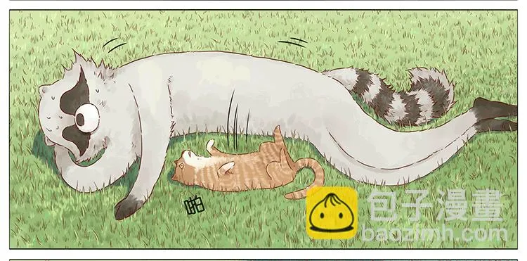 猫 第12页