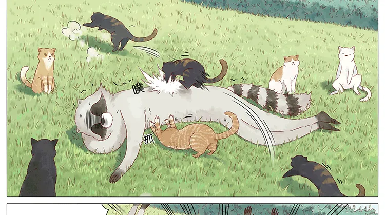猫 第13页