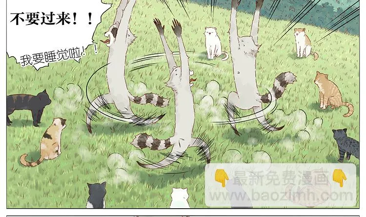 猫 第14页