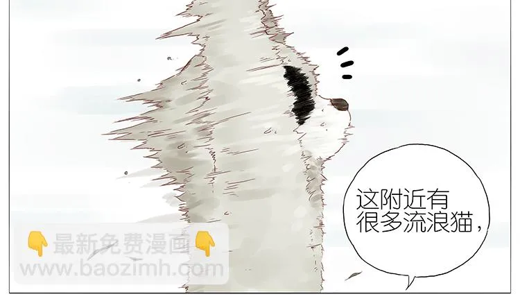 猫 第15页