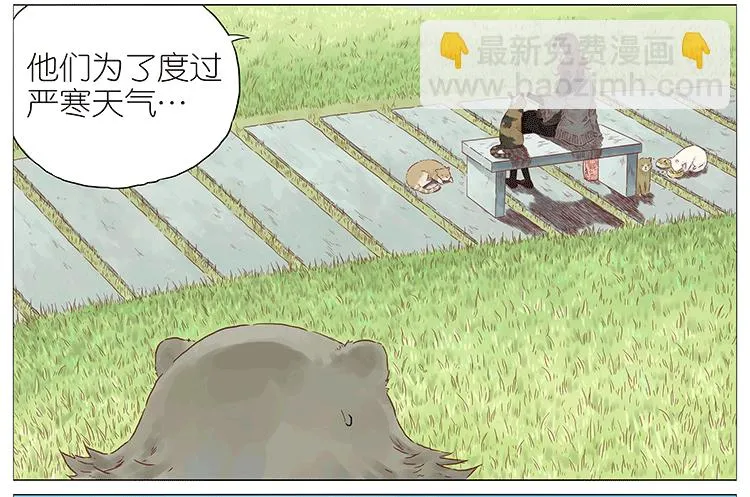 猫 第16页