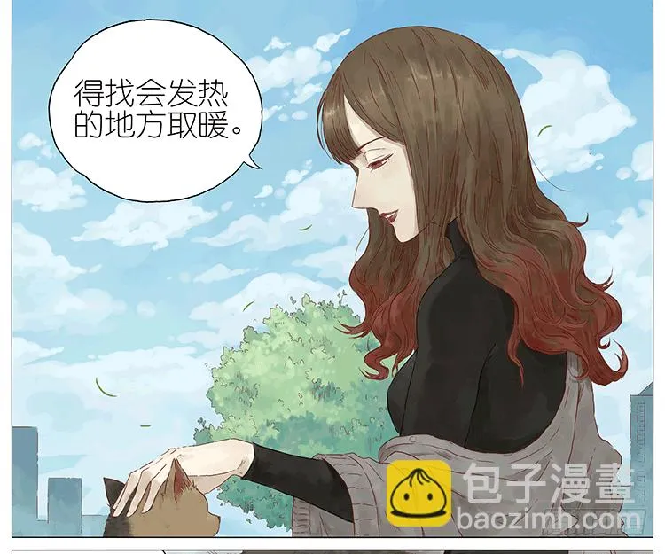 猫 第17页