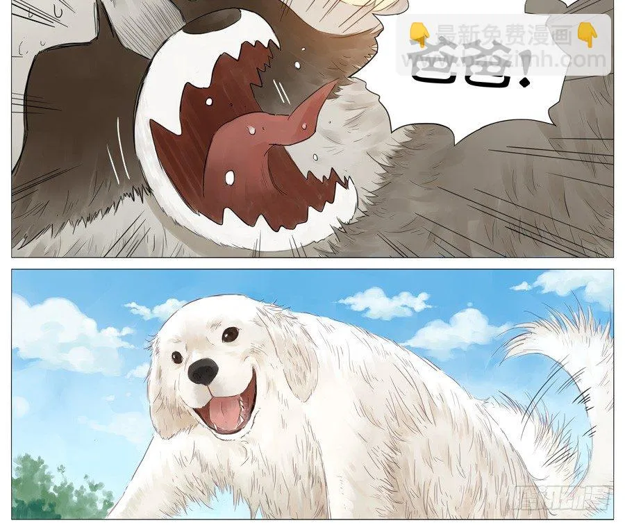遛狗 第6页