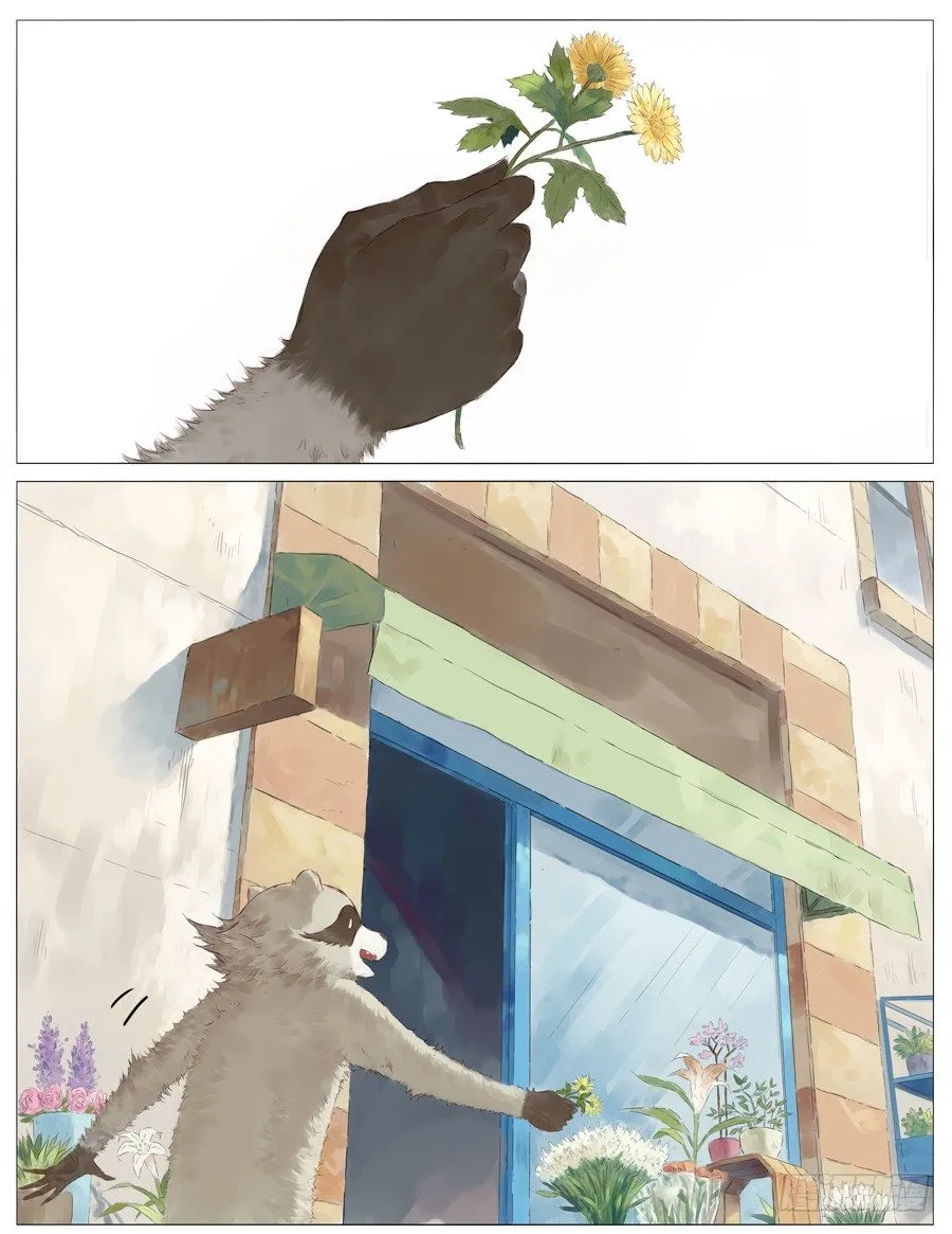 花店 第7页