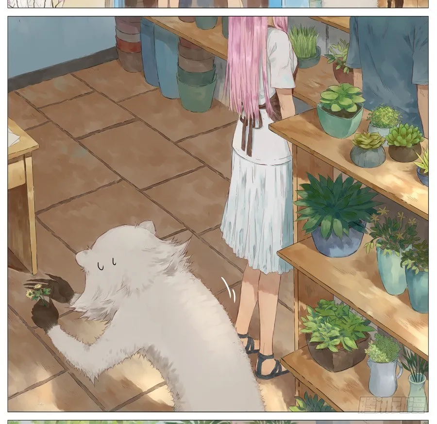 花店 第10页